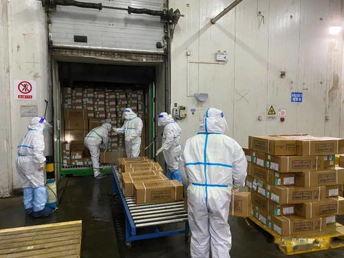 園區進口冷鏈食品集中監管倉正式啟用 技術進出口與食品安全管控的雙重革新